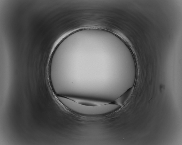 X0000082981344200703020248