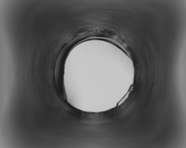 X0000082981345200703020248