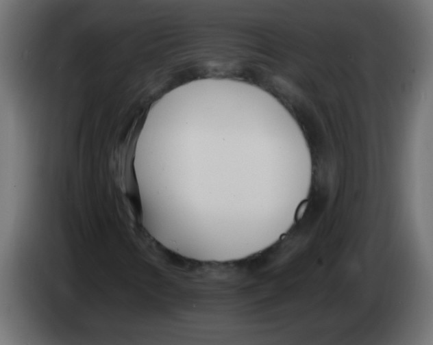 X0000082981346200703020248