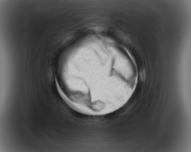 X0000082981347200703020248