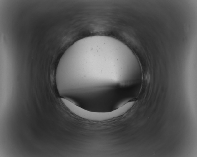 X0000082981348200703020247