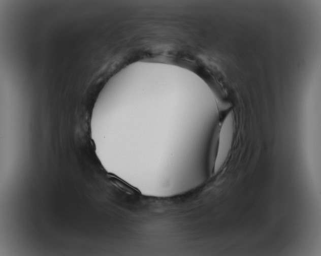X0000082981349200703020247