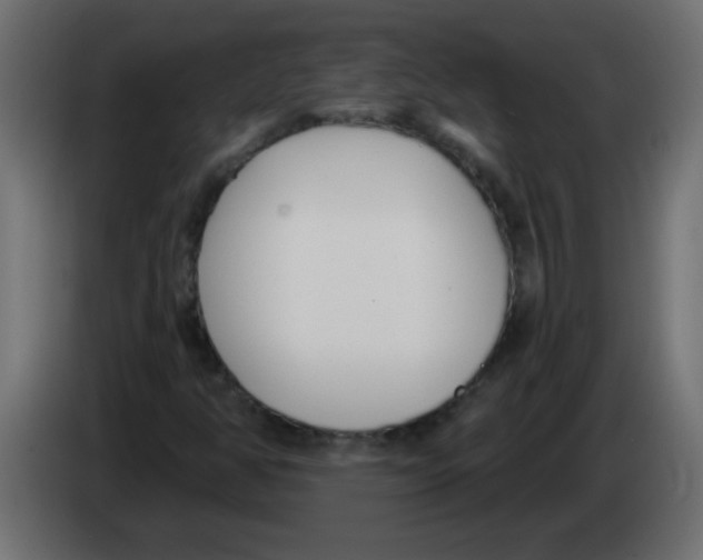 X0000082981350200703020247