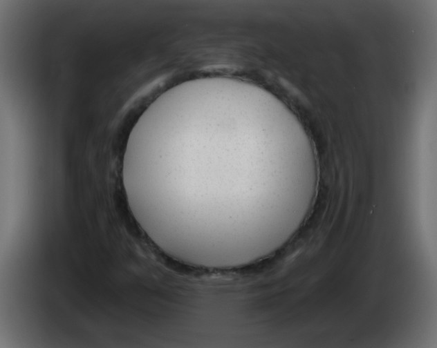 X0000082981351200703020247