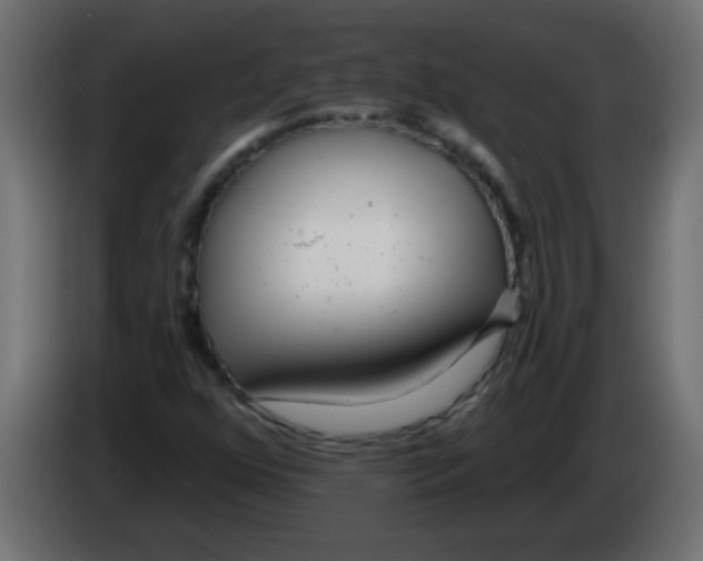 X0000082981352200703020247