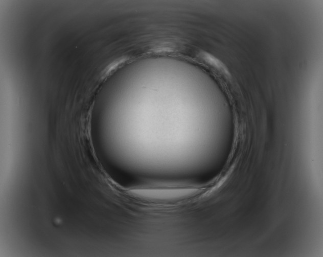 X0000082981353200703020247