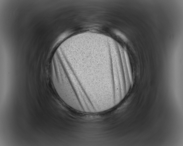 X0000082981354200703020247