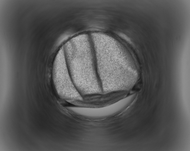 X0000082981355200703020247