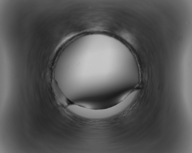 X0000082981356200703020247