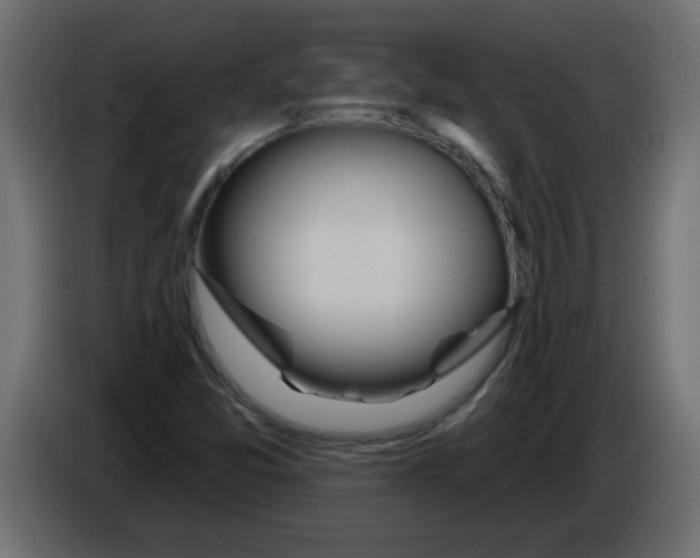 X0000082981357200703020247