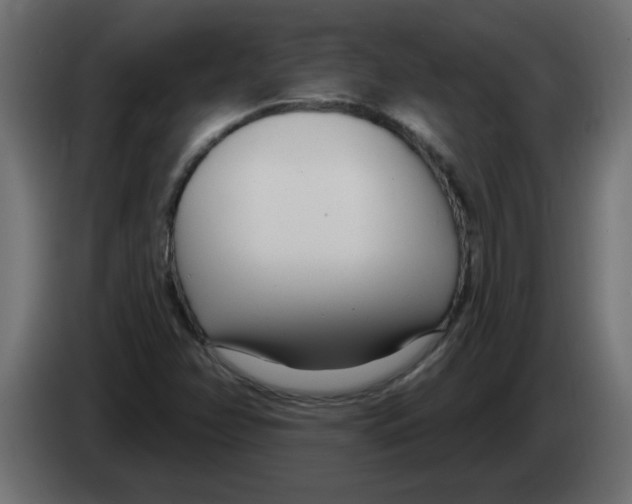 X0000082981358200703020247
