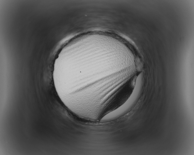 X0000082981359200703020247