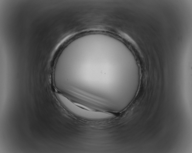 X0000082981360200703020247