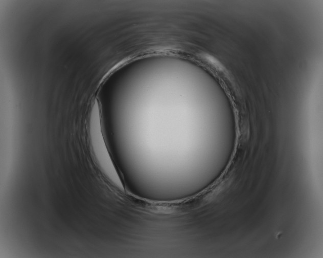 X0000082981361200703020247