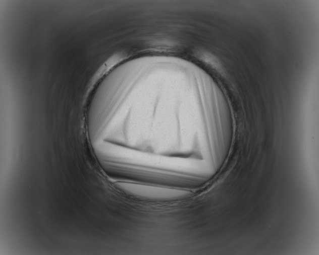 X0000082981362200703020247