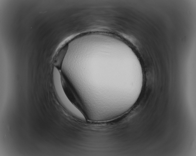 X0000082981363200703020247