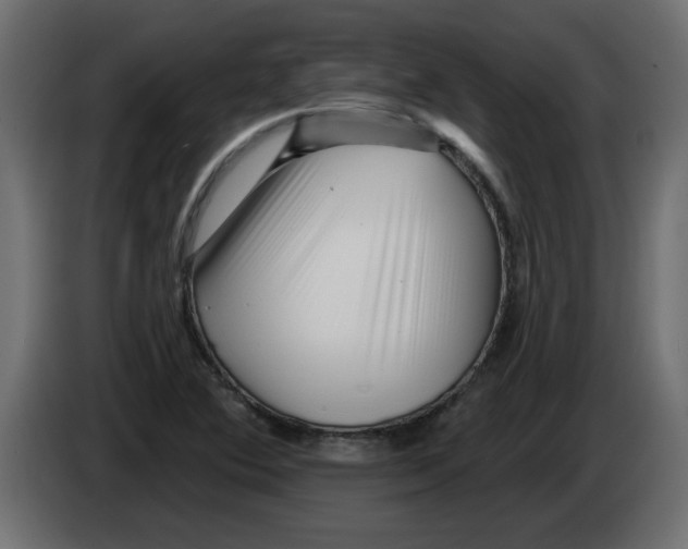 X0000082981364200703020247