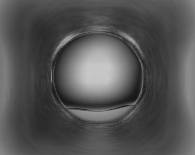 X0000082981365200703020247