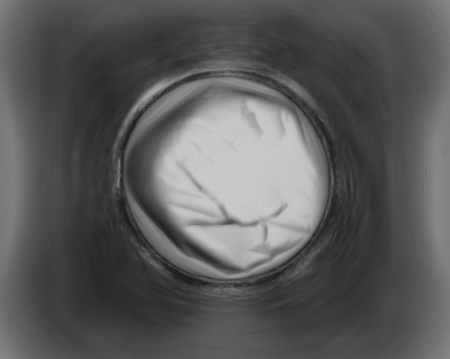 X0000082981366200703020247