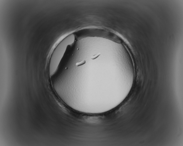 X0000082981367200703020247