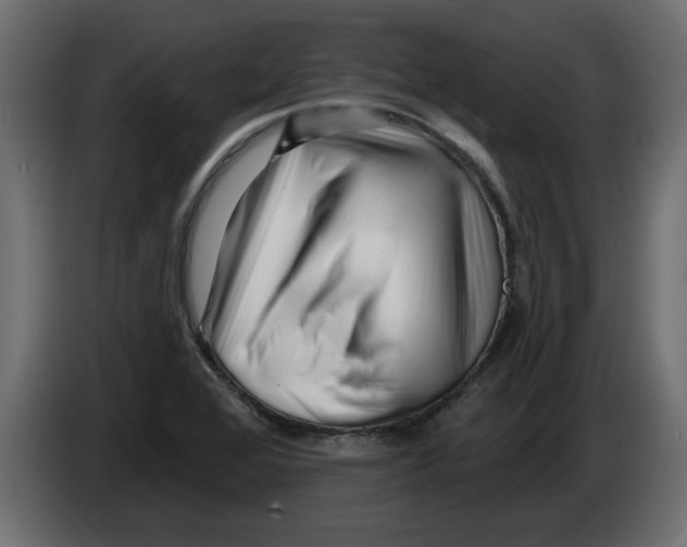 X0000082981368200703020247