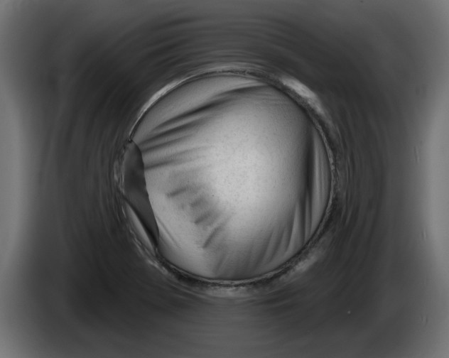 X0000082981369200703020247