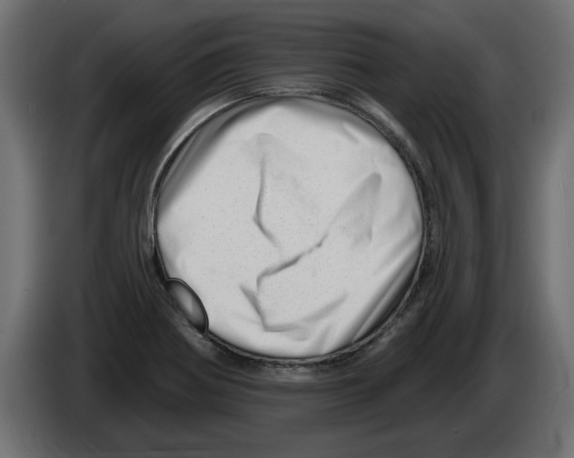 X0000082981370200703020247