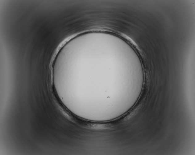 X0000082981371200703020247