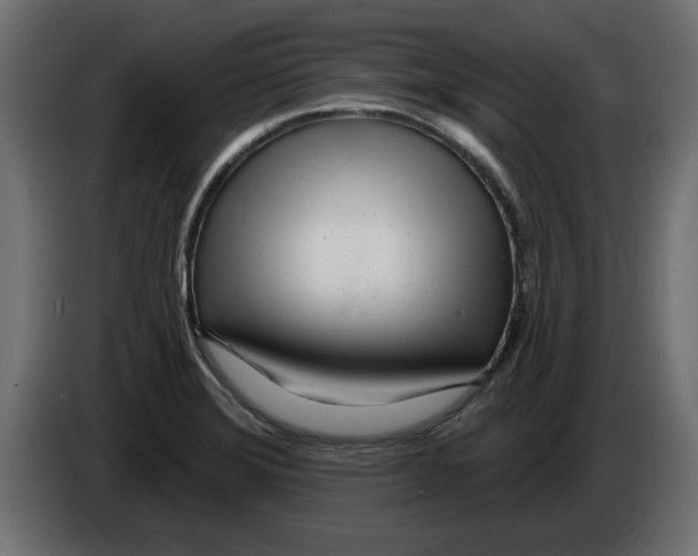 X0000082981372200703020247