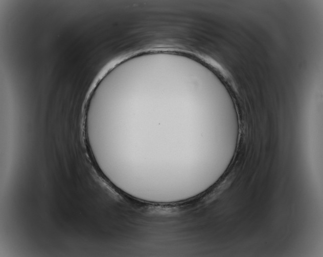 X0000082981374200703020247