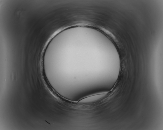 X0000082981375200703020247