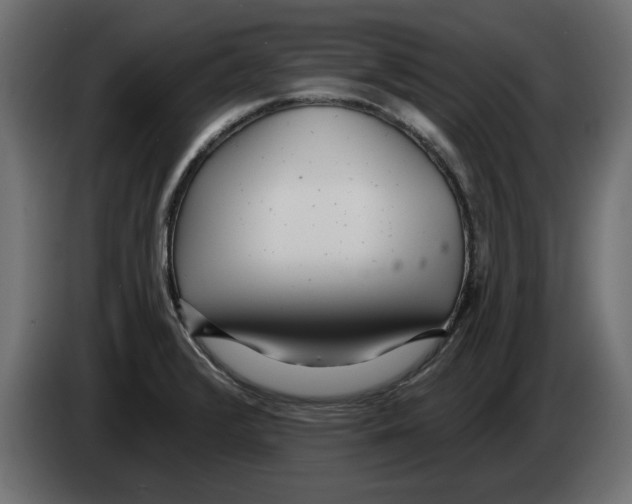 X0000082981376200703020247