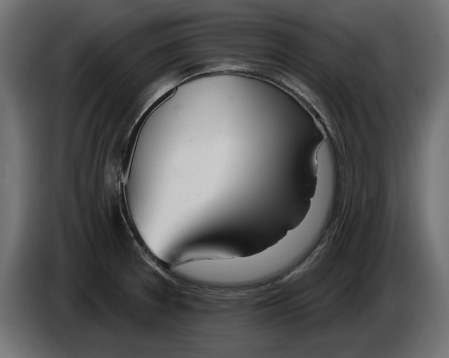 X0000082981377200703020247