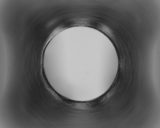 X0000082981378200703020247