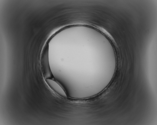 X0000082981380200703020247