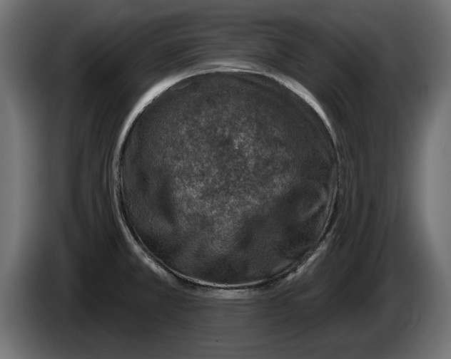 X0000082981381200703020247