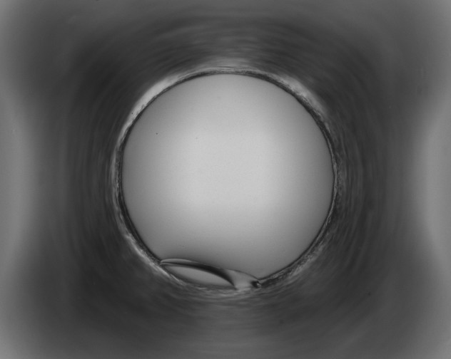 X0000082981382200703020247