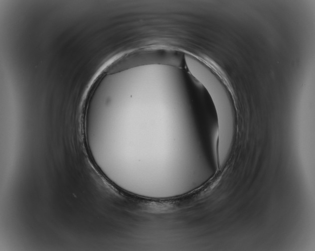 X0000082981384200703020247
