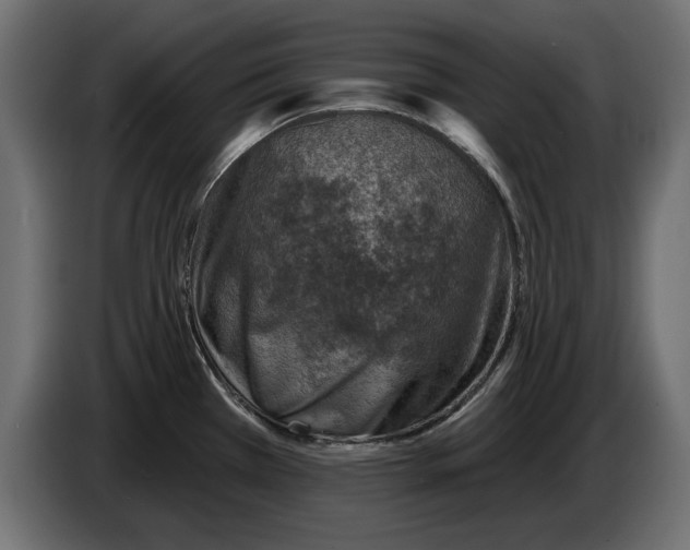 X0000082981385200703020247