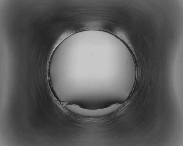 X0000082981386200703020247