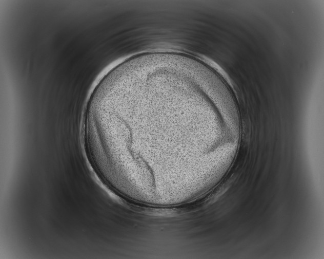 X0000082981387200703020247