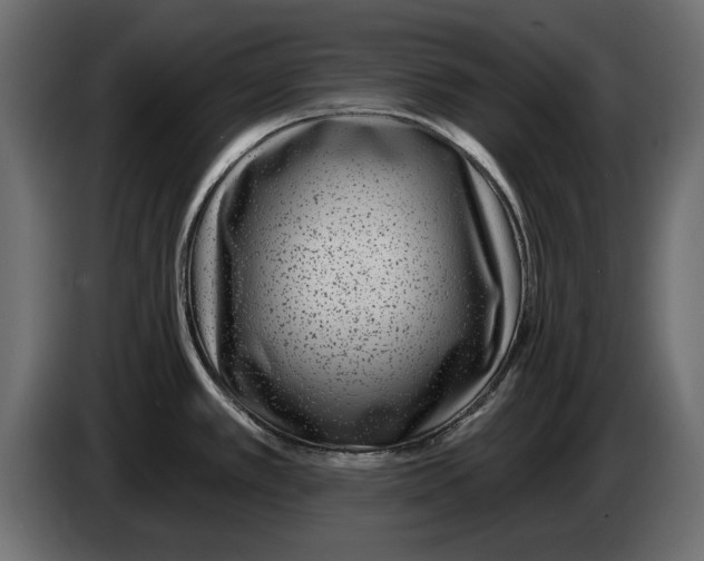 X0000082981389200703020247