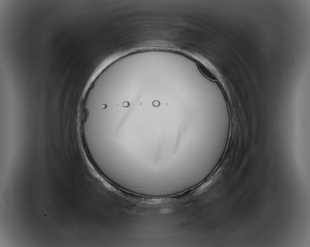 X0000082981390200703020247