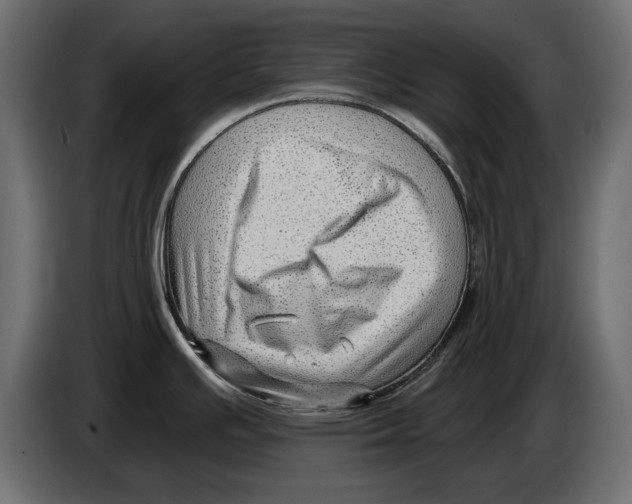X0000082981391200703020247