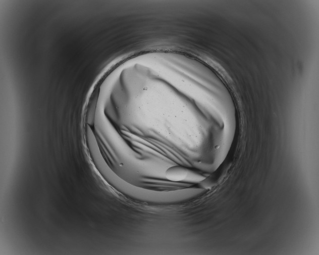 X0000082981392200703020247