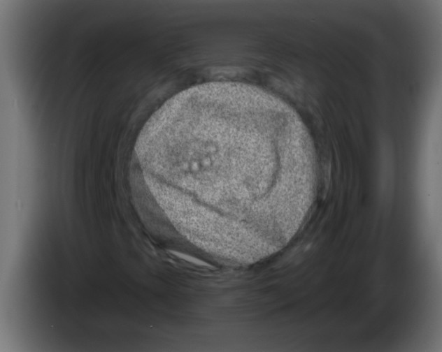 X0000082981393200703020246