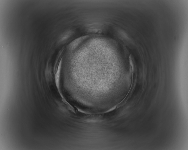 X0000082981394200703020246