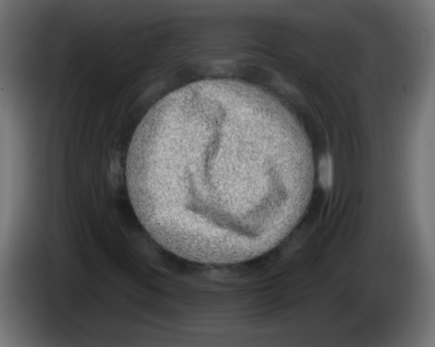 X0000082981395200703020246