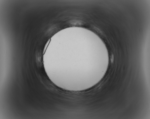 X0000082981396200703020246