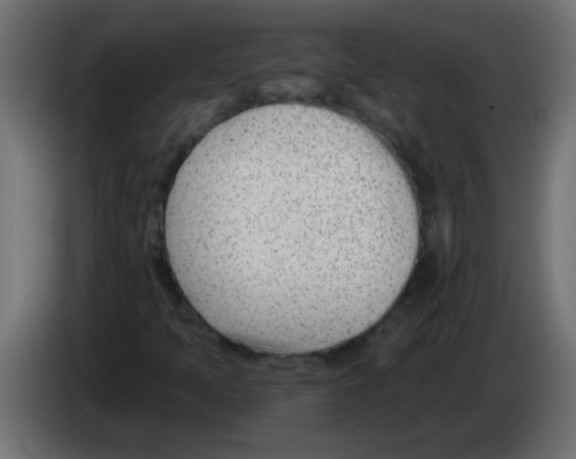 X0000082981397200703020246